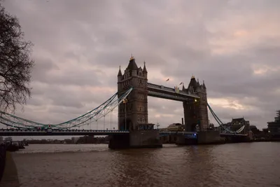 DSC_5674 (Large).JPG